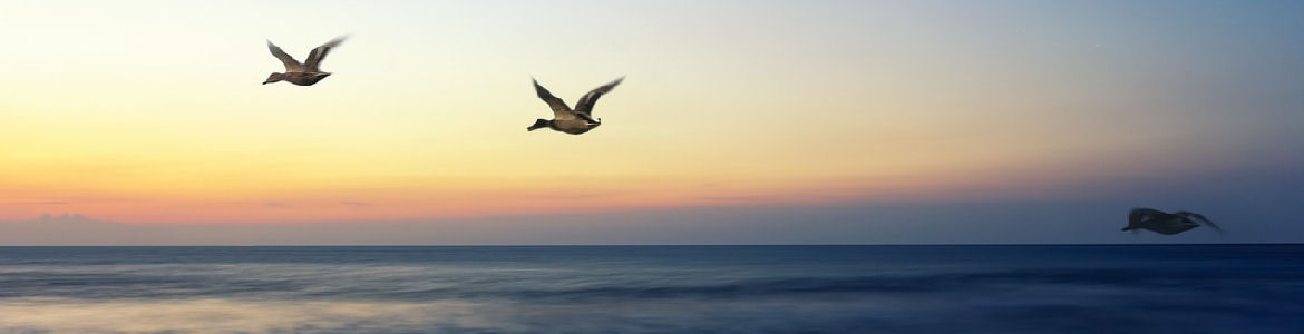 The Acts of the Holy Spirit