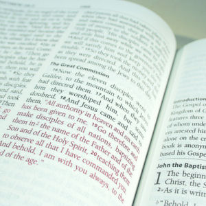 images/k2_links/life_lessons/valuable_verses.jpg#joomlaImage://local-images/k2_links/life_lessons/valuable_verses.jpg?width=300&height=300